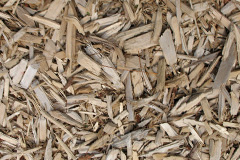 biomass boilers Willingale